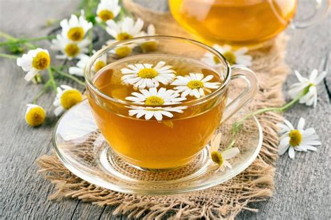 Known for its distinct floral taste, this infusion is made when the striking white-yellow <strong>Camomile</strong> flowers are delicately cut to unleash a sweet apple-like scent that relaxes your mind and helps you to sleep. . Benadryl and chamomile tea